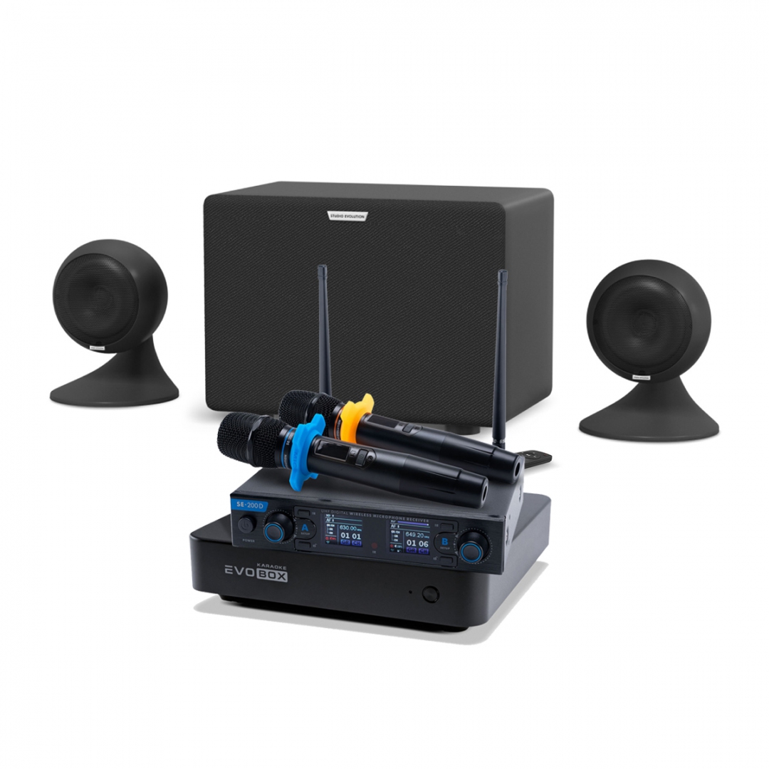 караоке-комплект EVOBOX + EvoSound Sphere 2.1 в Дмитрове