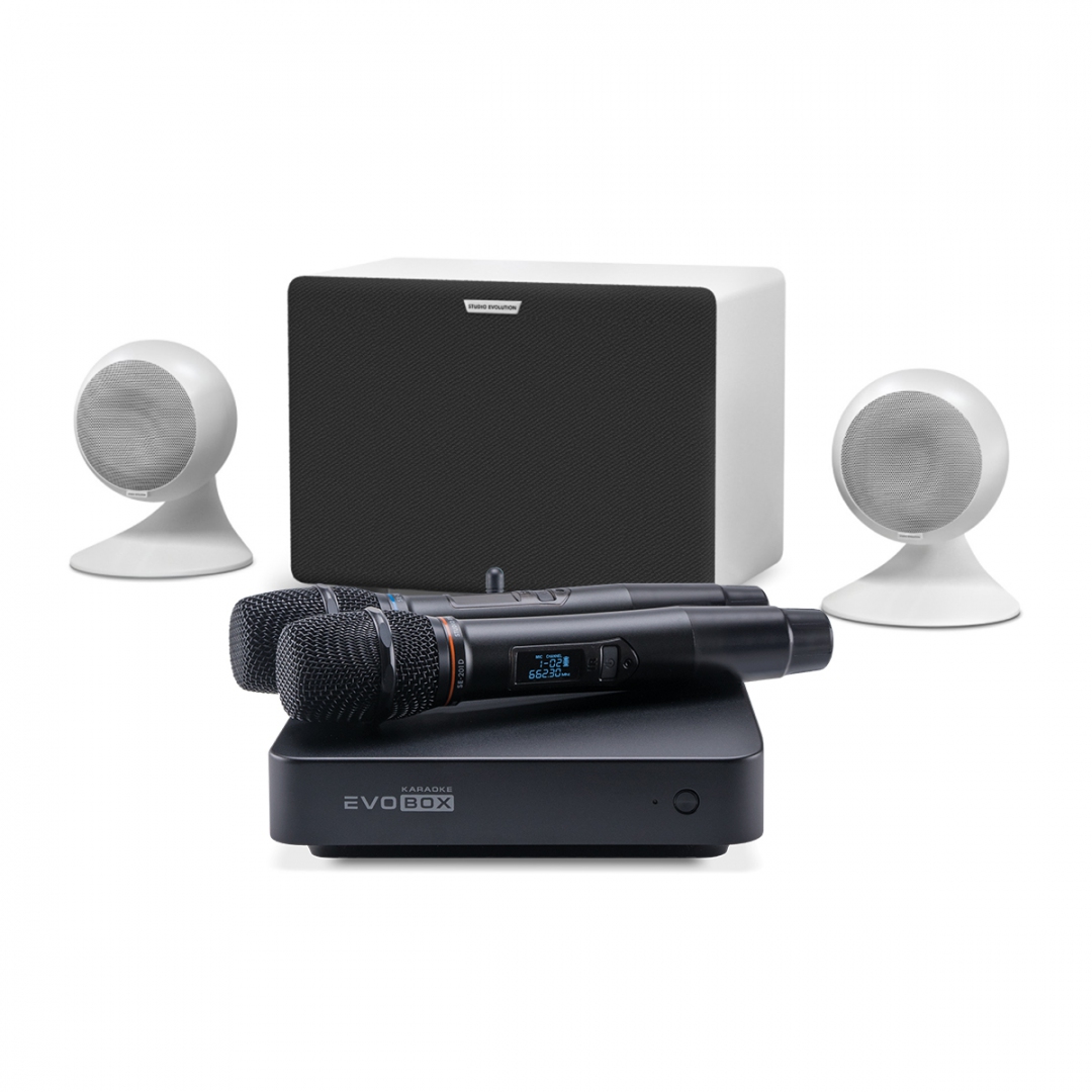 караоке-комплект EVOBOX Classic + EvoSound Sphere 2.1 в Дмитрове