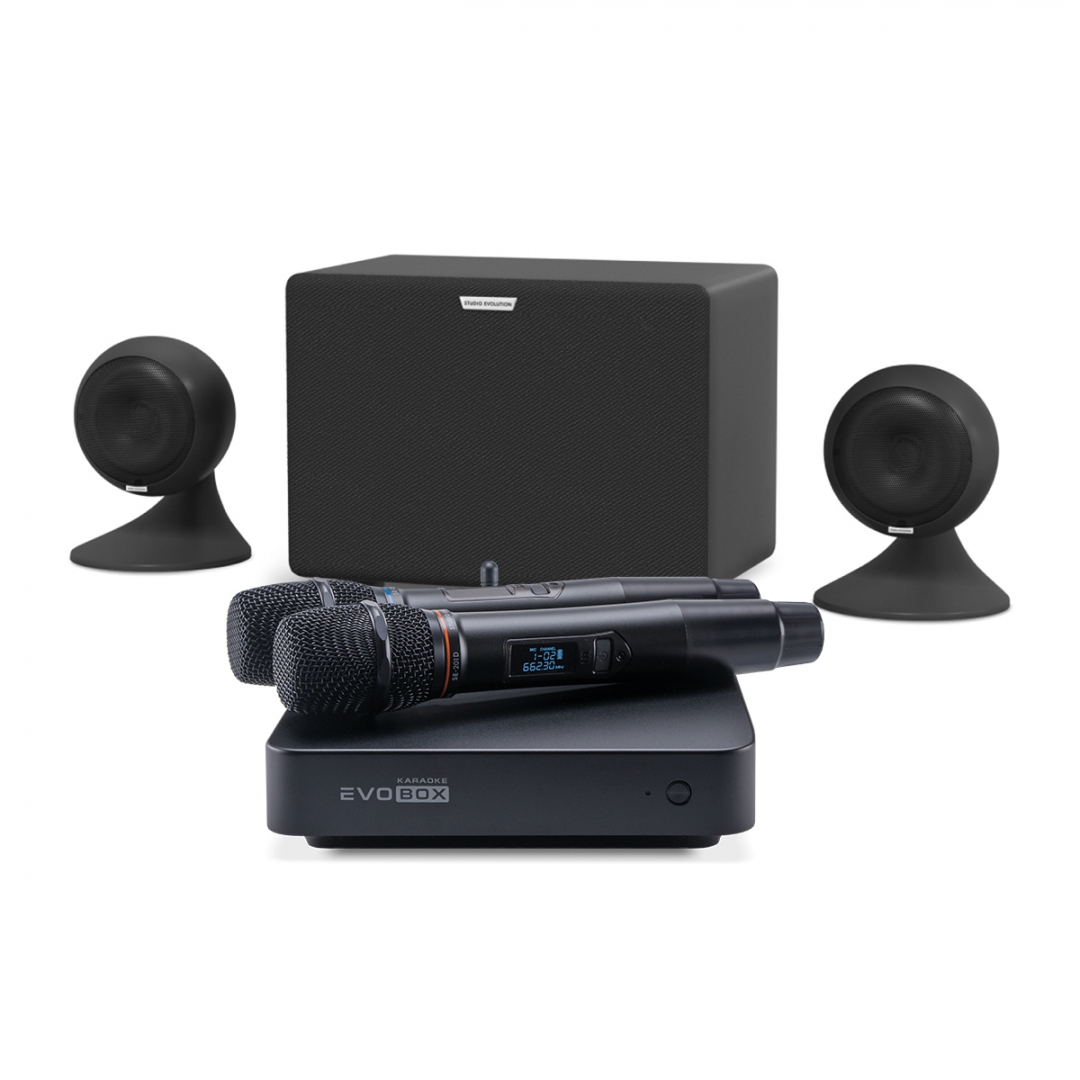 караоке-комплект EVOBOX Plus + EvoSound Sphere 2.1 в Дмитрове