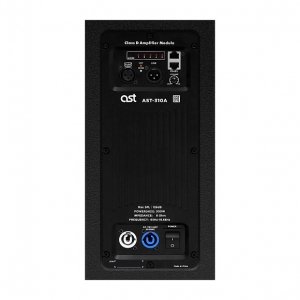 Активная акустическая система AST-310A в Дмитрове
